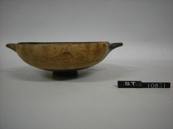 Coppa ad uccelli (bird-bowl)