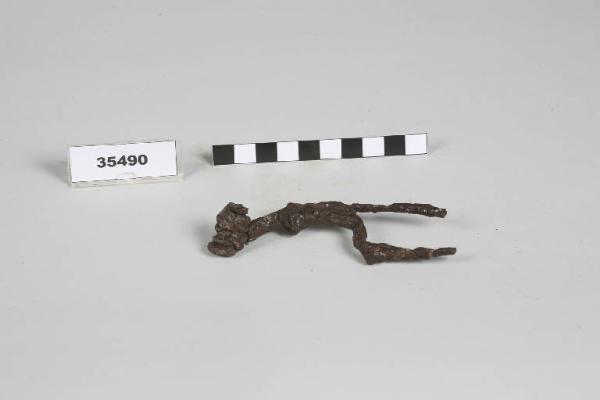 Fibula / frammento