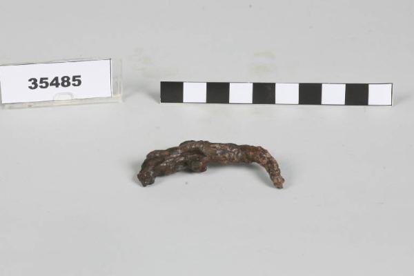 Fibula / frammento