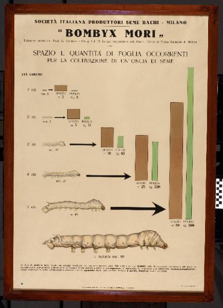 Spazio e quantità