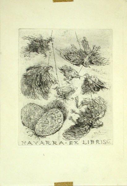 Navarra ex libris