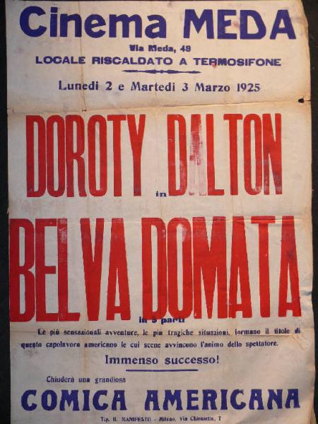 Belva domata