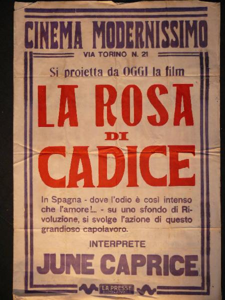 La rosa di Cadice