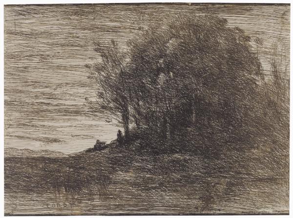 Le bois de l'ermite