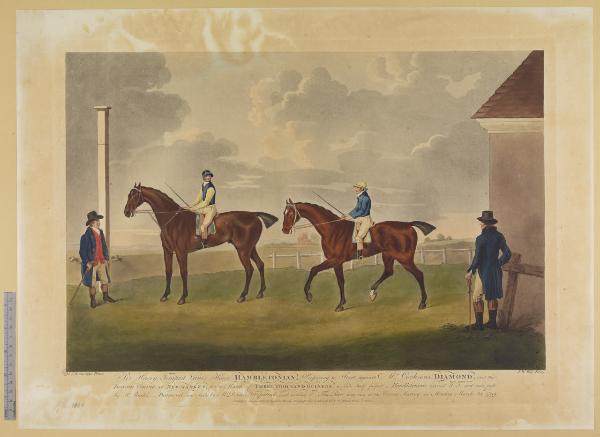 Sir Harry Tempest Vanes, Horse, Hambletonian...