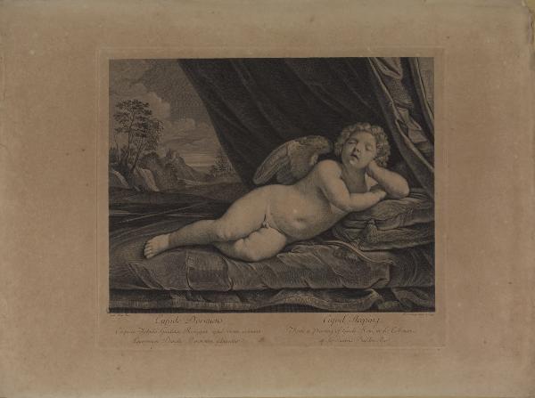 Cupido dormiens - Cupid sleeping