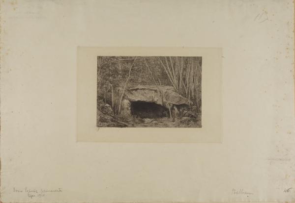 Bosco