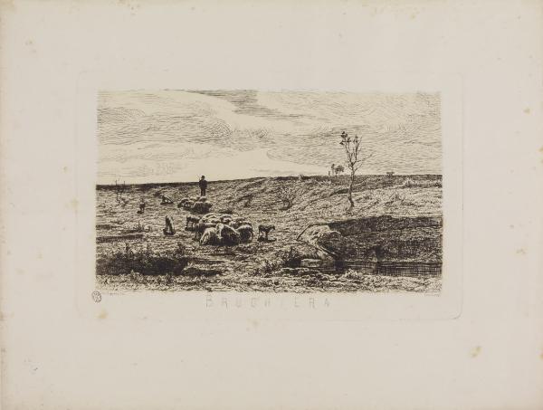 Brughiera