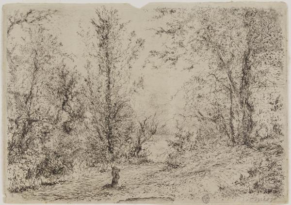 Paesaggio