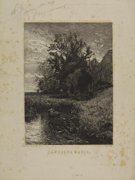 Campagna mesta...