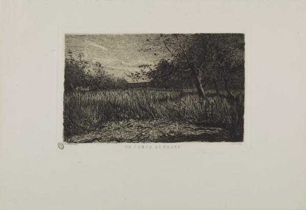 Un campo di grano
