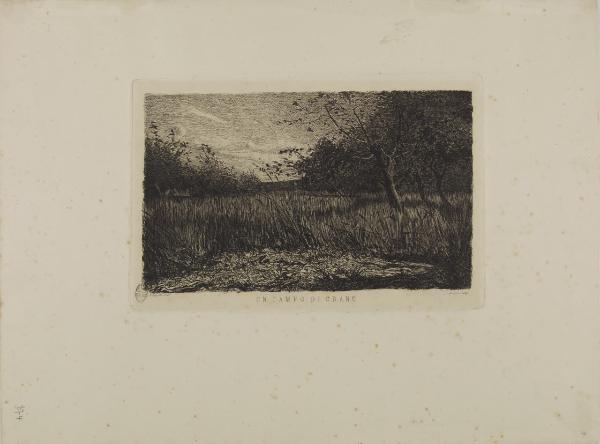 Un campo di grano
