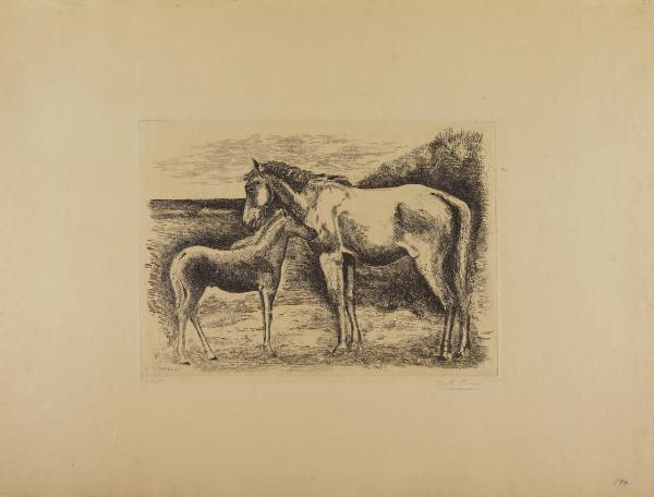 Cavalli II