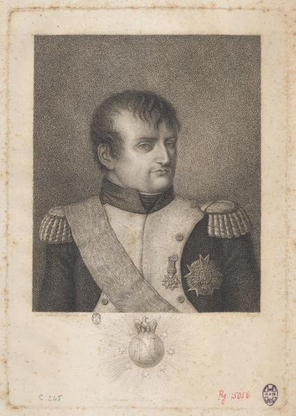 Napoleone il grande
