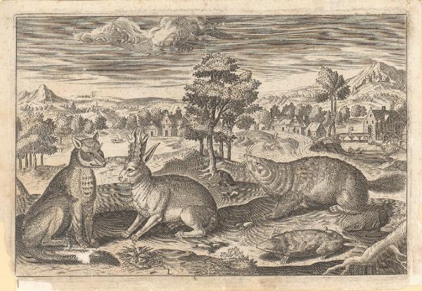 Animalium quadrupedum omnis generis [...]