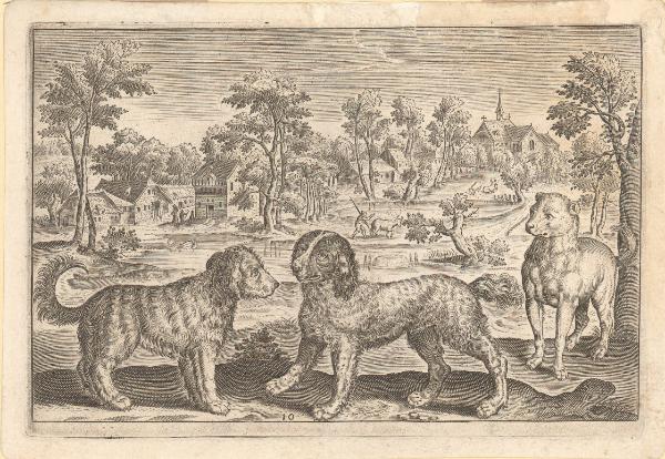 Animalium quadrupedum omnis generis [...]