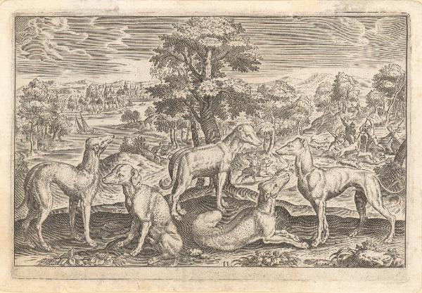 Animalium quadrupedum omnis generis [...]