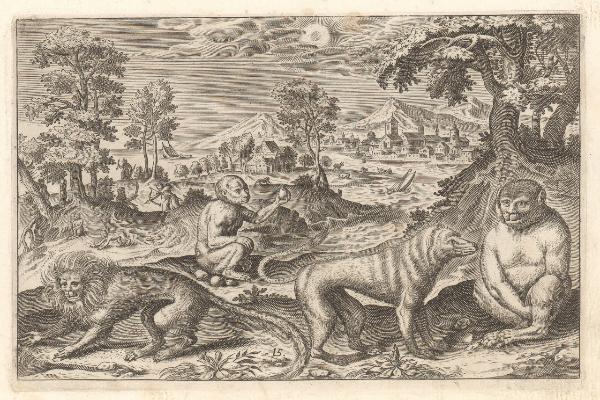 Animalium quadrupedum omnis generis [...]