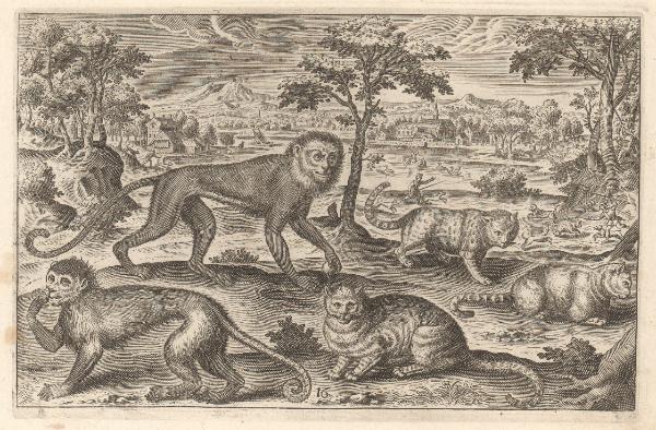 Animalium quadrupedum omnis generis [...]