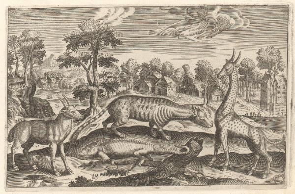 Animalium quadrupedum omnis generis [...]