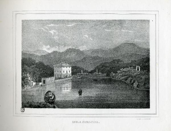 Isola Comacina. Veduta prospettica