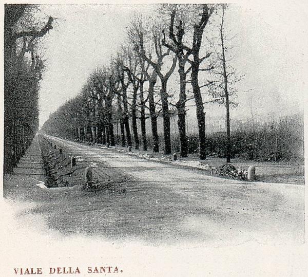 Monza. Parco della Villa Reale (Viale della Santa)