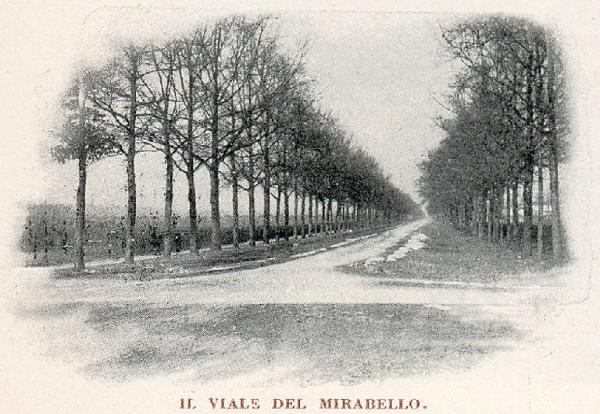 Monza. Parco della Villa Reale (Viale del Mirabello)