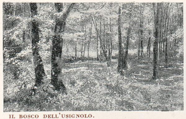 Monza. Parco della Villa Reale (Bosco)