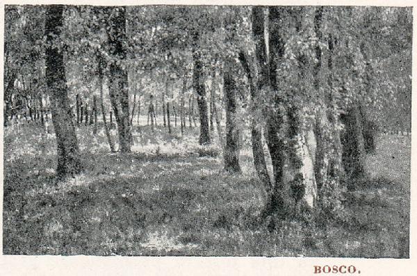 Monza. Parco della Villa Reale (Bosco)