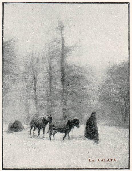 Monza. Parco della Villa Reale