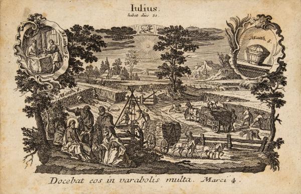 Iulius