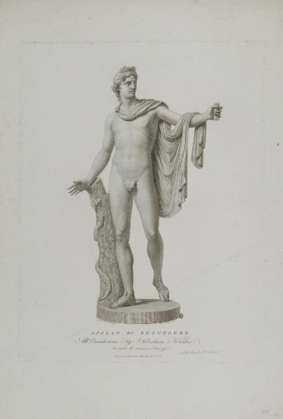 Apollo di Belvedere