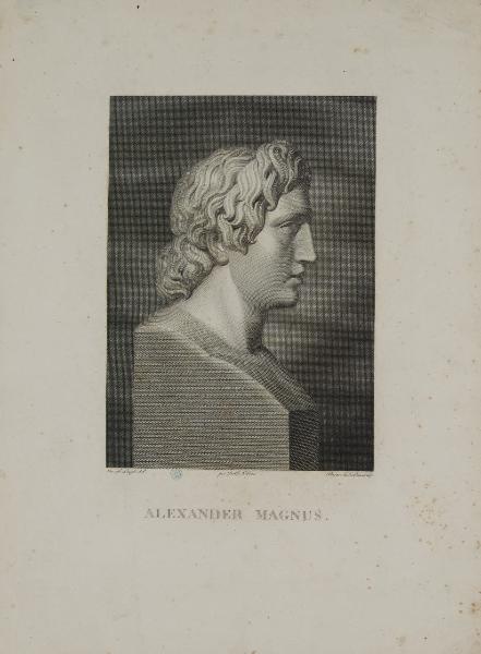 Alexander Magnus