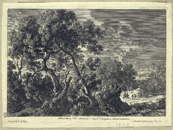 Paesaggio boschivo