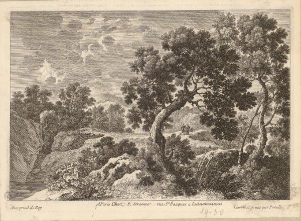 Paesaggio boschivo