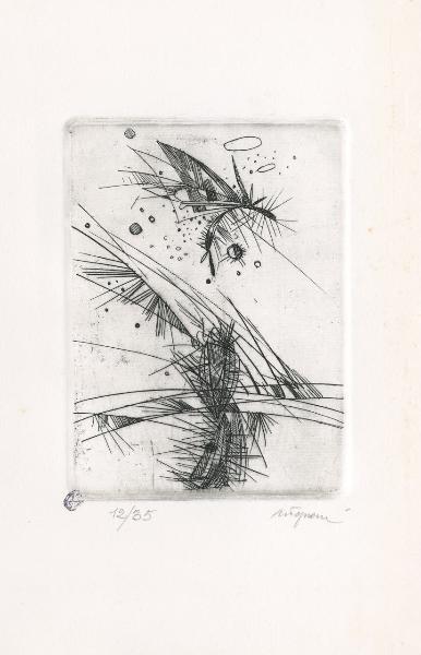 In volo