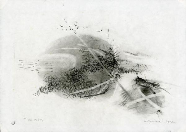 In volo