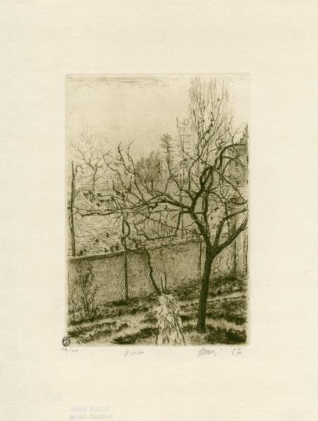 L'orto
