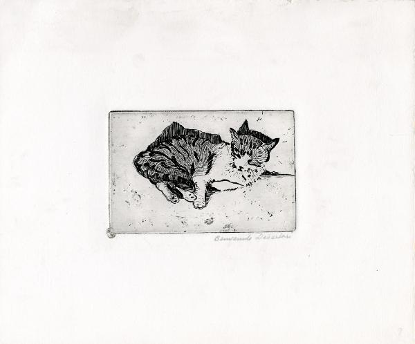 Gatto