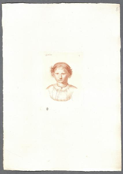 Raccolta di disegni incisi da Girolamo Mantelli di Canobio sugli originali esistenti nella Biblioteca Ambrosiana di mano di Leonardo da Vinci e de suoi scolari lombardi dedicata a sua eccellenza Giberto Borrmeo Arese