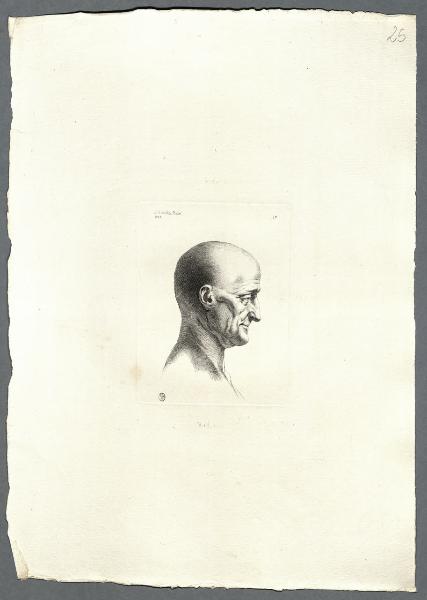 Raccolta di disegni incisi da Girolamo Mantelli di Canobio sugli originali esistenti nella Biblioteca Ambrosiana di mano di Leonardo da Vinci e de suoi scolari lombardi dedicata a sua eccellenza Giberto Borrmeo Arese