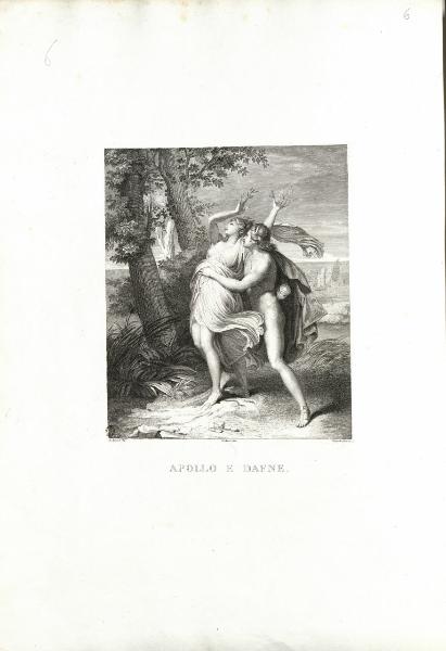 Apollo e Dafne