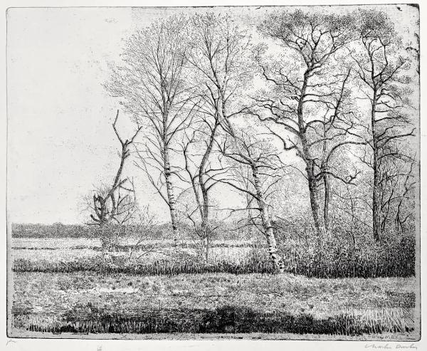 Landscape Thoso