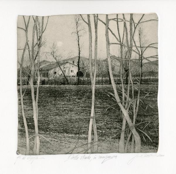 Dalla strada, in campagna