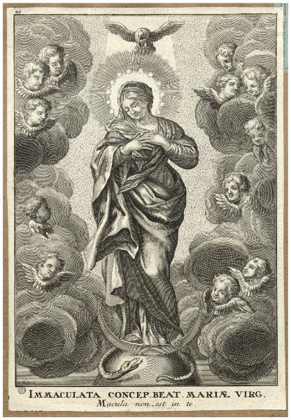 Immaculata Concep. Beat. Mariae Virg. Macula non est in te