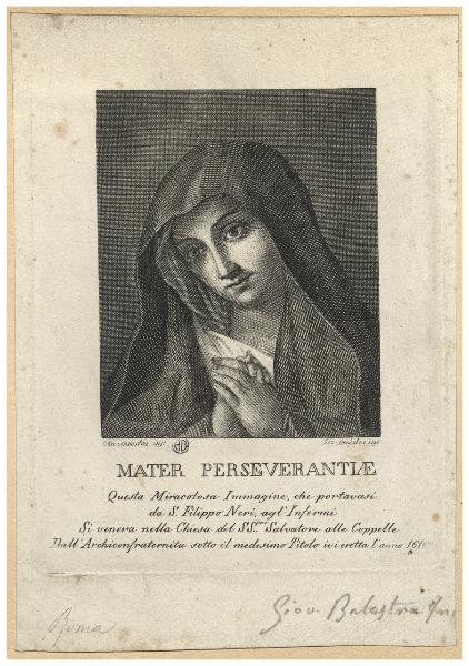 Mater Perseverantiae