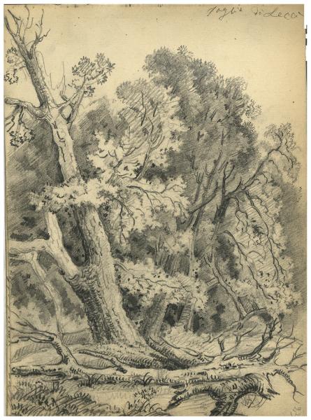 Viaggi in Sardegna 1861, 1863, 1872
