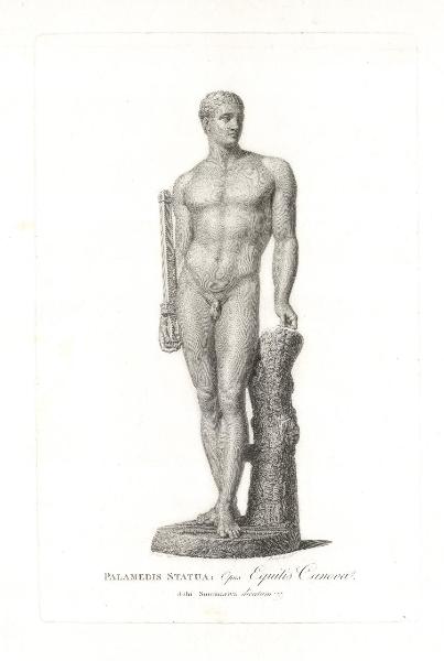Palamedis