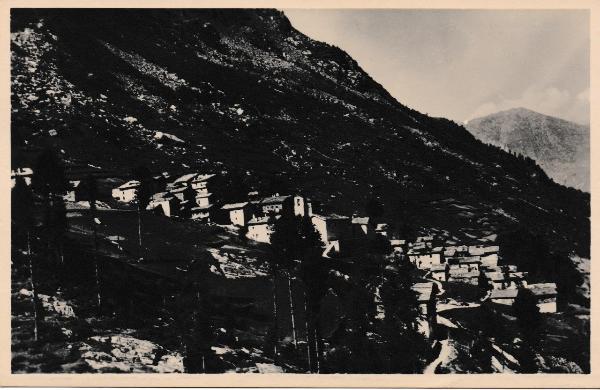 Starleggia