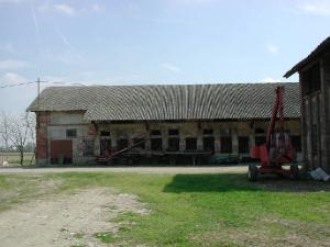 Stallone della cascina Videserto